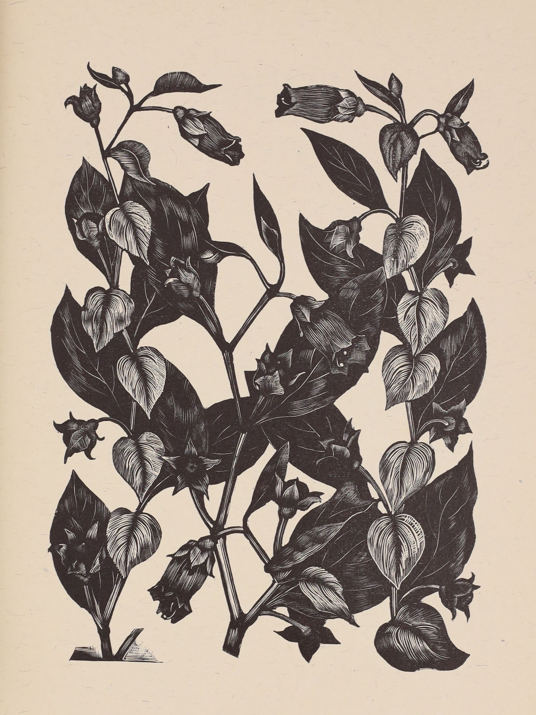 Dallimore, W. And Nash, John- Haslewood Books. Poisonous Plants Deadly, Dangerous and Suspect. Limited edition, one of 350. Complete with 20 woodcut engraved plates by John Nash. Original cloth with gilt pictorial to upp